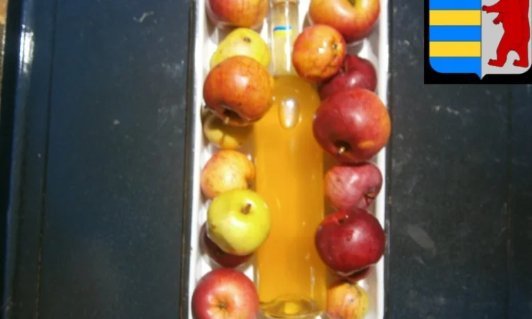 Яблочный уксус для омывания волос - фото № 11