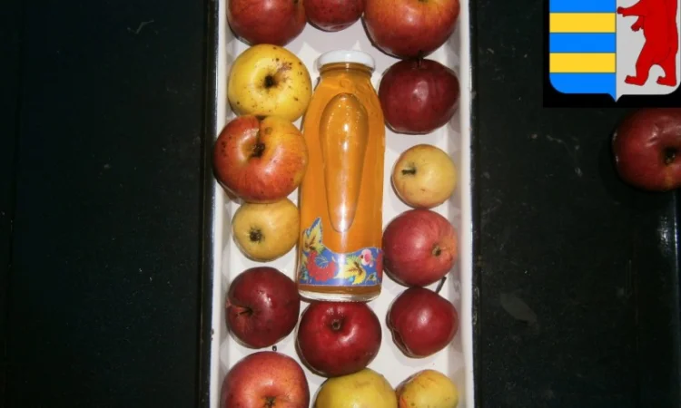 Яблочный уксус для красоты волос - фото № 4