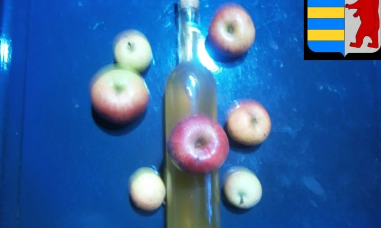 Яблочный уксус для блеска укладки волос - фото № 9