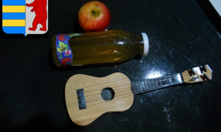 Яблочный уксус и здоровье желудка - фото № 16