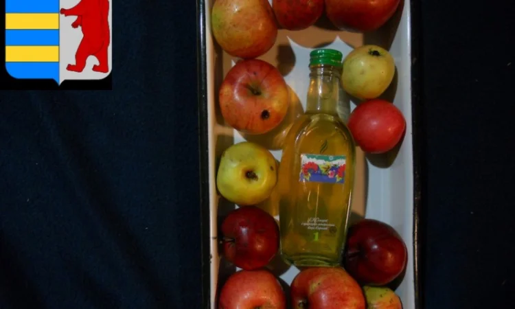 Яблочный уксус и здоровье желудка - фото № 13