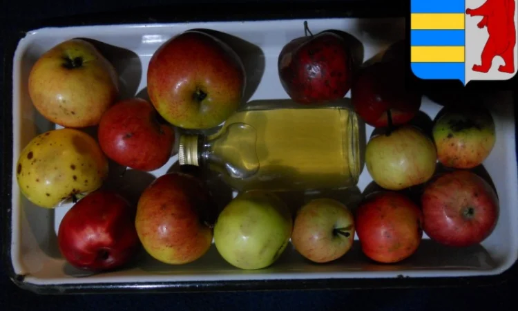 Уксус для ополаскивания волос: натуральная красота и здоровье ваших прядей - фото № 8