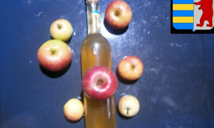 Яблочный уксус для блеска волос: тайна здоровья и красоты твоих локонов - фото № 3