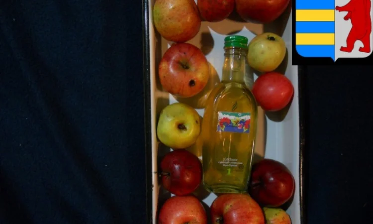 Уксус для волос: натуральное решение против перхоти и не только - фото № 10