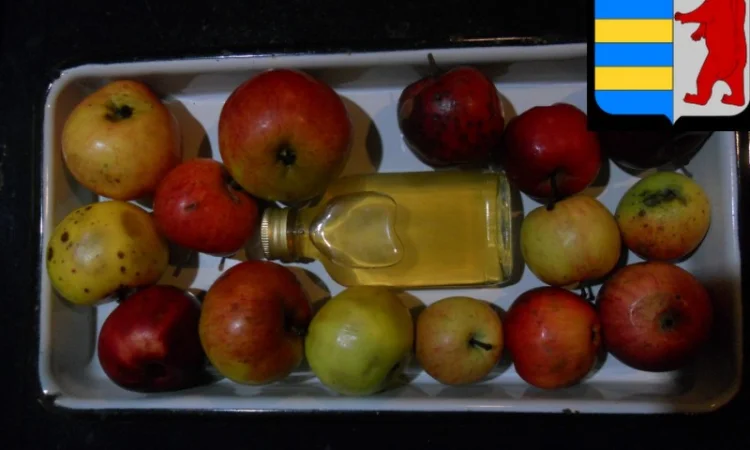 Яблочный уксус: забота о сердце и состоянии крови - фото № 5