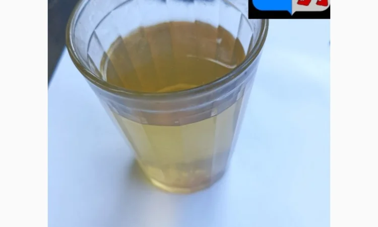 Яблочный уксус: забота о сердце и состоянии крови - фото № 18