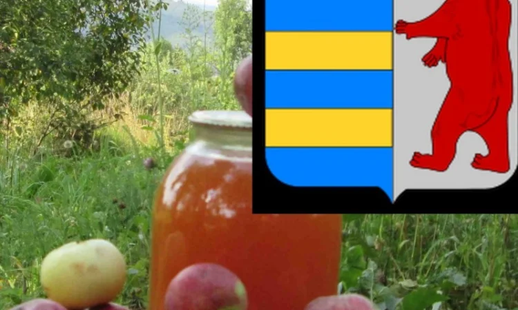 Яблочный уксус: забота о сердце и состоянии крови - фото № 17