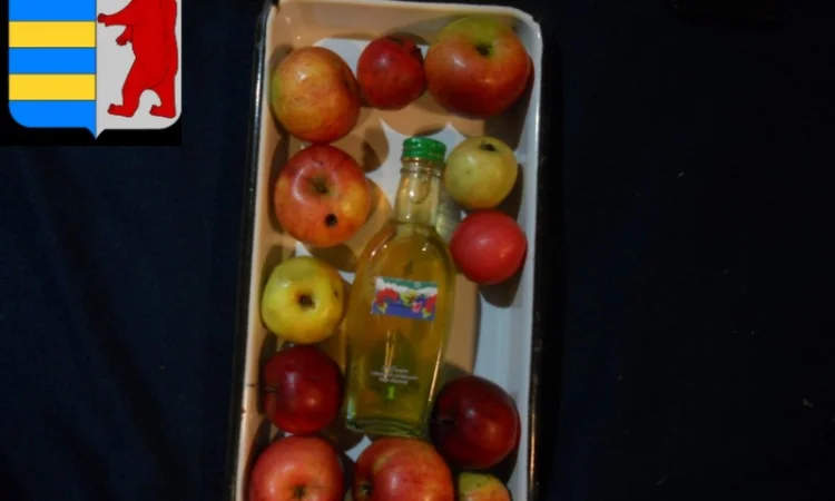 Натуральный яблочный уксус: забота о здоровье с естественными преимуществами - фото № 15