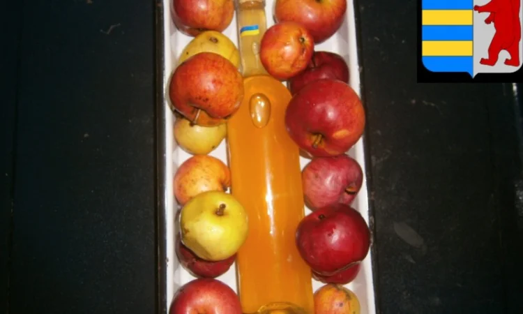 Как использовать яблочный уксус для жирных волос - фото № 11