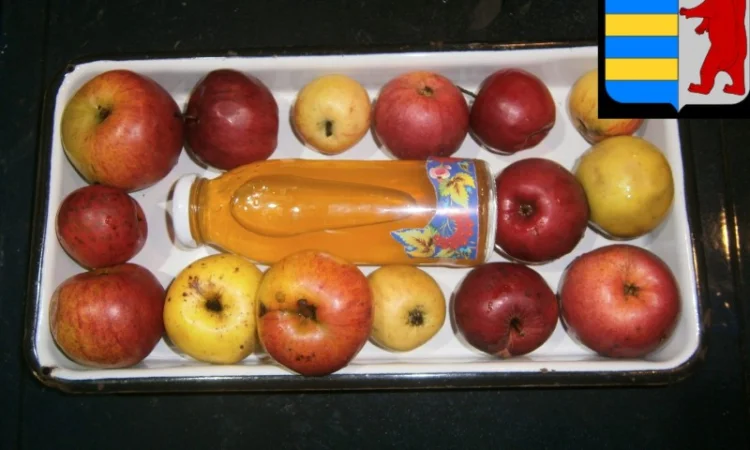 Как использовать яблочный уксус для жирных волос - фото № 8