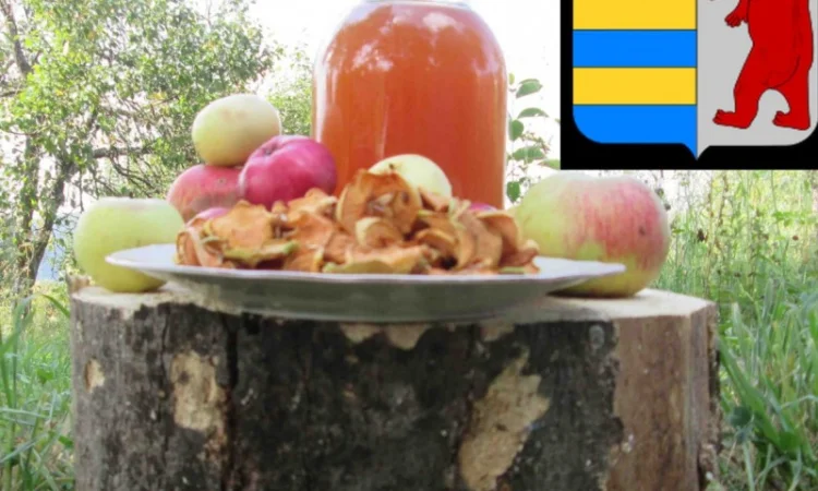 Как использовать яблочный уксус для жирных волос - фото № 6