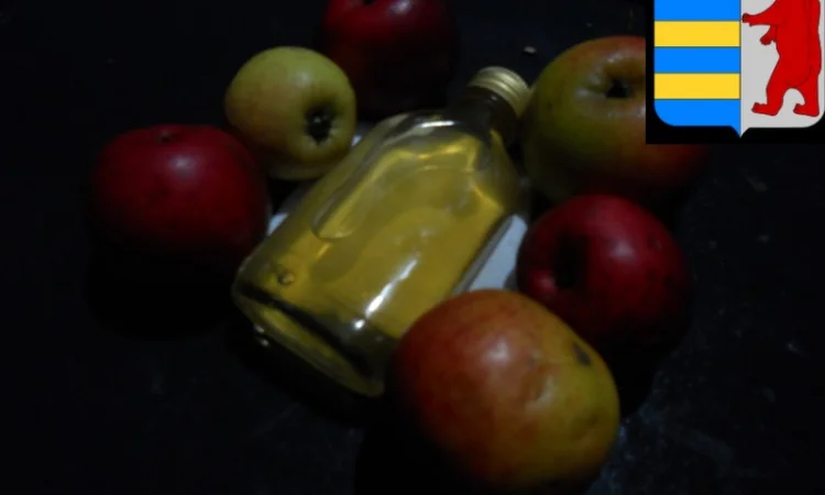 Как использовать яблочный уксус для жирных волос - фото № 17