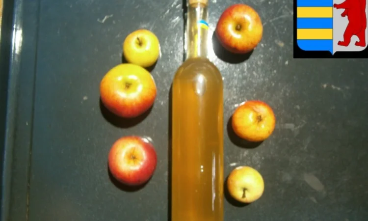 Как использовать яблочный уксус для жирных волос - фото № 13