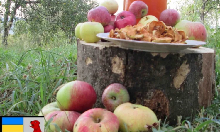 Яблочный уксус с утра: заряд здоровья и энергии - фото № 18