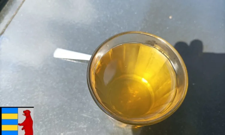 Яблочный уксус для волос: тайна здоровья и красоты - фото № 19