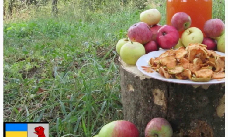 Яблочный уксус для волос: тайна здоровья и красоты - фото № 15