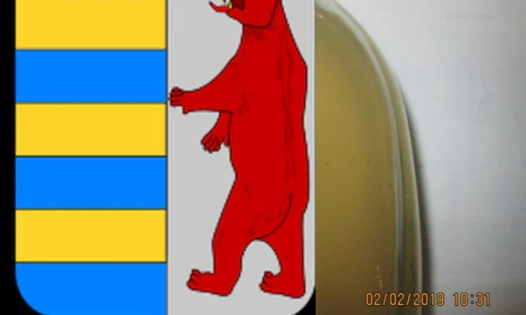 Непастеризованный яблочный уксус: забота о вашем здоровье - фото № 17