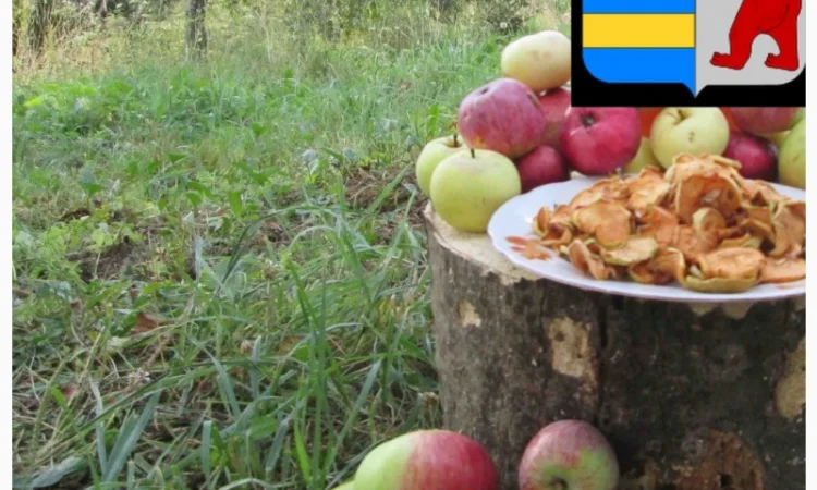 Яблочный уксус для масок и ухода за волосами - фото № 7