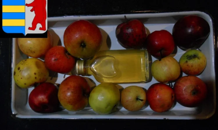 Яблочный уксус и дети - фото № 8