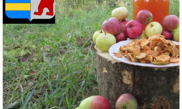 Яблочный уксус для ухода за кожей и волосами - фото № 18