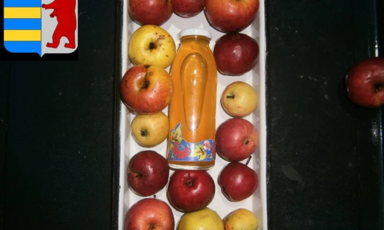 Яблочный уксус и снижение уровня сахара в крови - фото № 4