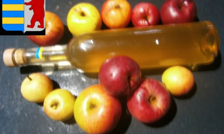 Яблочный уксус в диетотерапии - фото № 5