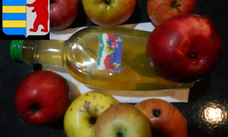 Яблочный уксус в диетотерапии - фото № 15