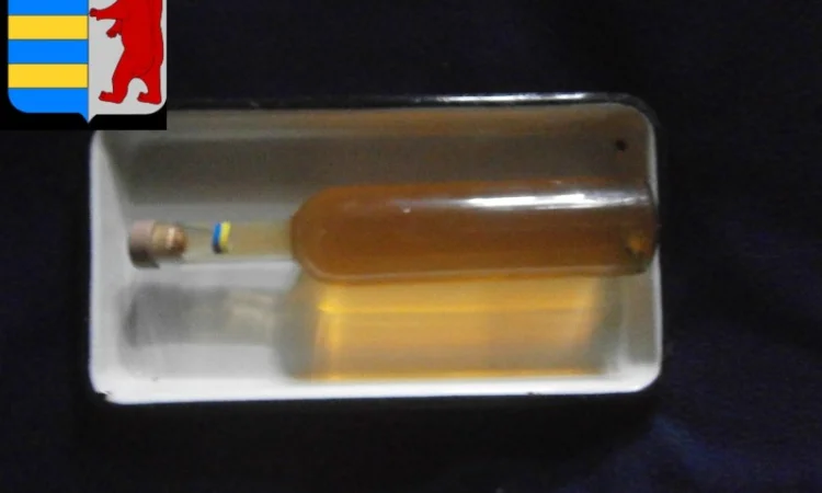 Косметика для локонов из уксуса: секреты здоровых волос - фото № 11