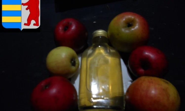 Яблочный уксус для здоровых и красивых волос - фото № 7