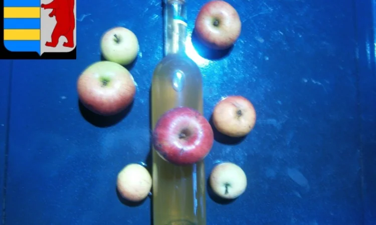 Яблочный уксус для здоровых и красивых волос - фото № 4