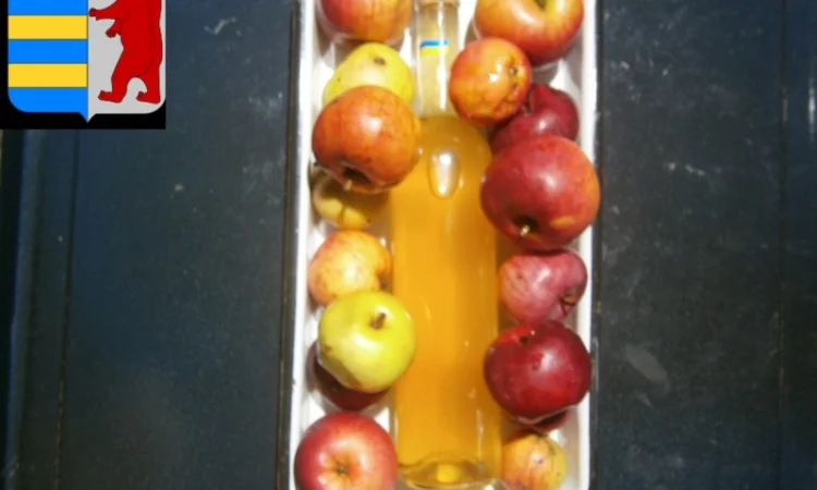 Яблочный уксус перед сном: забота о вашем здоровье и качестве сна - фото № 5