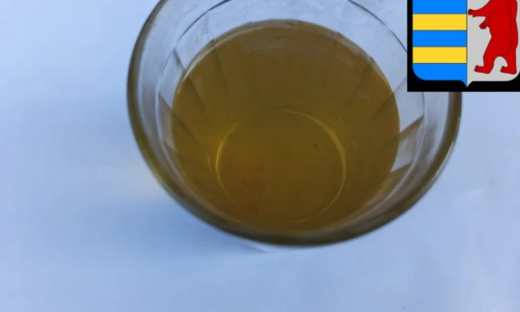 Яблочный уксус в народной медицине: древнее средство для здоровья и благополучия - фото № 1