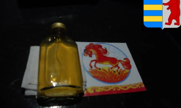 Яблочный уксус в народной медицине: древнее средство для здоровья и благополучия - фото № 12