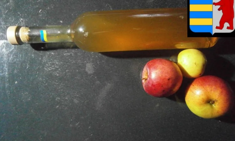 Яблочный уксус в народной медицине: древнее средство для здоровья и благополучия - фото № 8