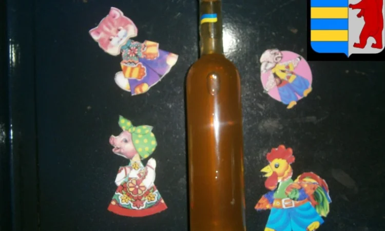 Яблочный уксус в народной медицине: древнее средство для здоровья и благополучия - фото № 7