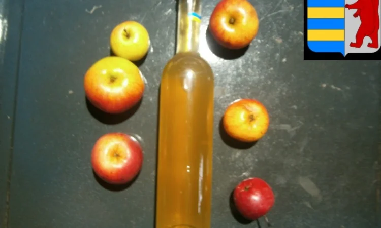 Яблочный уксус в народной медицине: древнее средство для здоровья и благополучия - фото № 6