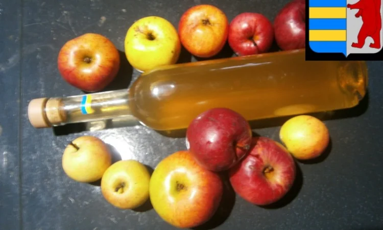 Яблочный уксус в народной медицине: древнее средство для здоровья и благополучия - фото № 5