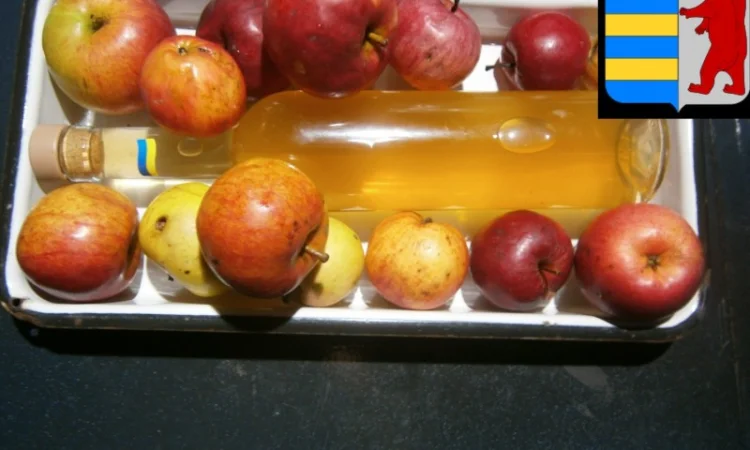 Яблочный уксус в народной медицине: древнее средство для здоровья и благополучия - фото № 4