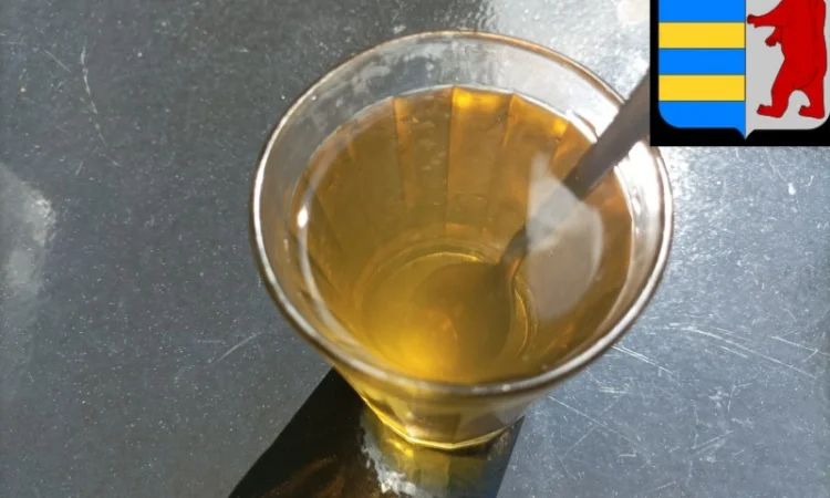 Яблочный уксус в народной медицине: древнее средство для здоровья и благополучия - фото № 20