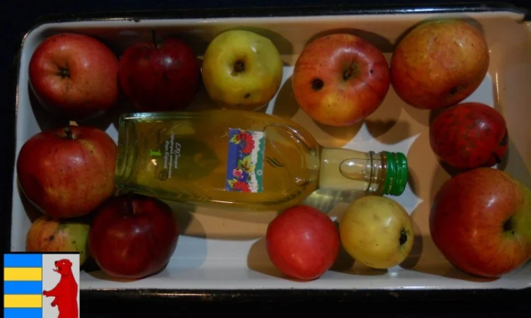 Яблочный уксус для роста волос - фото № 7