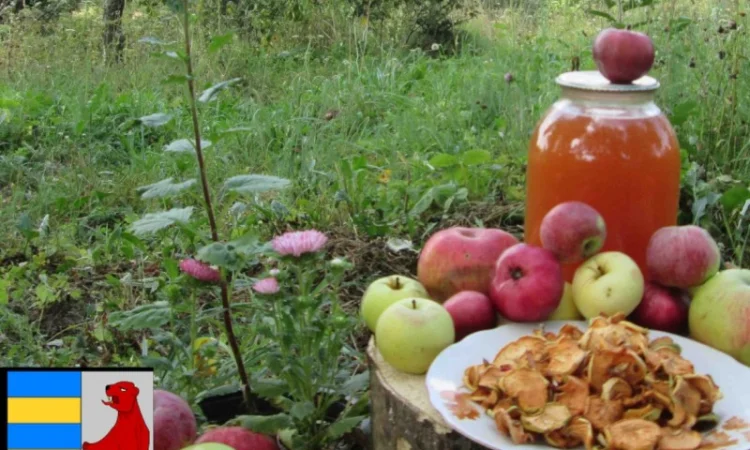 Яблочный уксус для роста волос - фото № 18