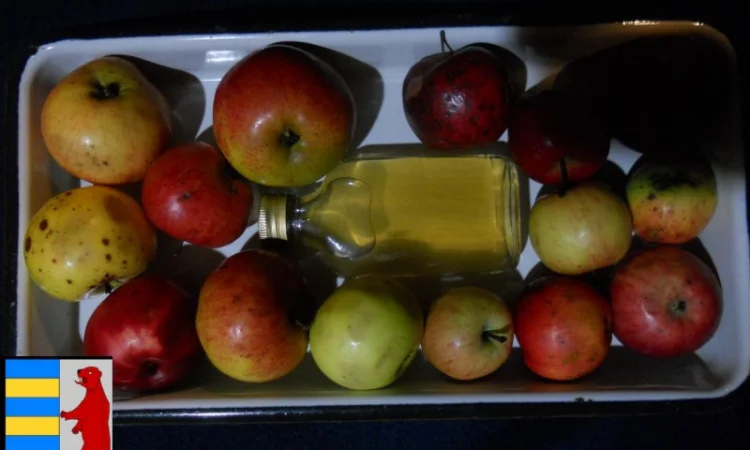 Домашний яблочный уксус: приготовление и преимущества - фото № 5