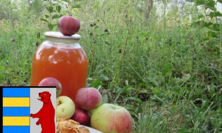 Домашний яблочный уксус: приготовление и преимущества - фото № 20