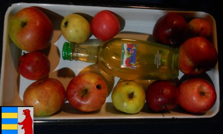 Домашний яблочный уксус: приготовление и преимущества - фото № 13