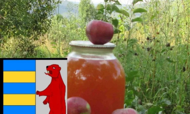 Яблочный уксус и изжога: важная информация для здоровья - фото № 16