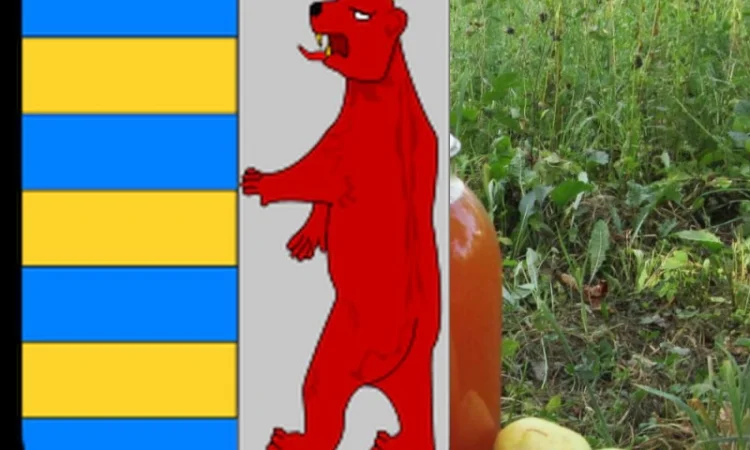 Яблочный уксус и кашель: полезная информация - фото № 15