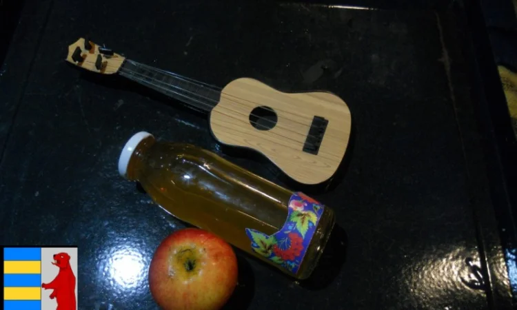 Яблочный уксус и кашель: полезная информация - фото № 13