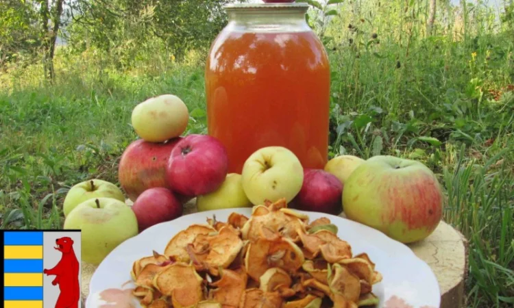 Яблочный уксус и насморк: полезная информация - фото № 19