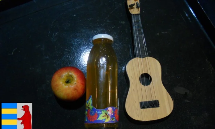 Яблочный уксус и насморк: полезная информация - фото № 16