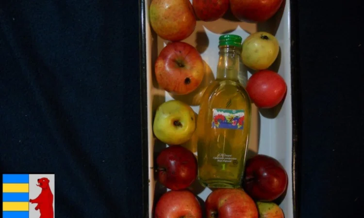 Яблочный уксус и насморк: полезная информация - фото № 12